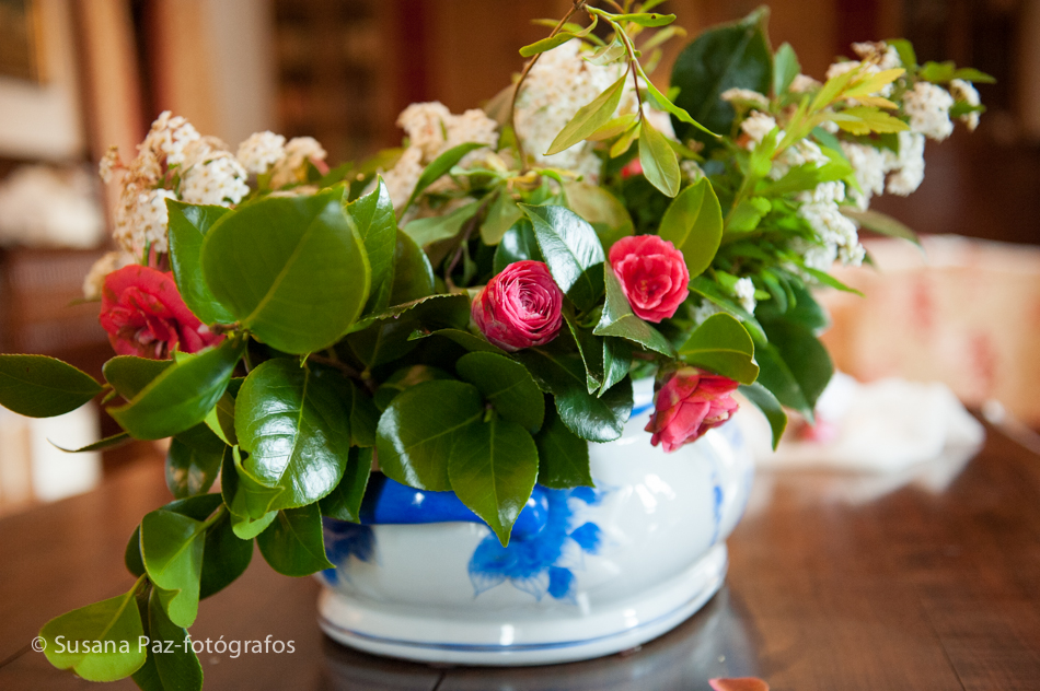 La vie en rose. Pazo do Tambre 2016